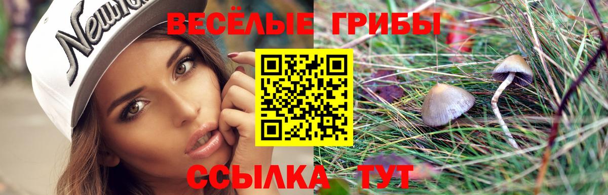 Галлюциногенные грибы прущие грибы  Вход с VPN  Вязьма  Псилоцибиновые грибы мицелий 